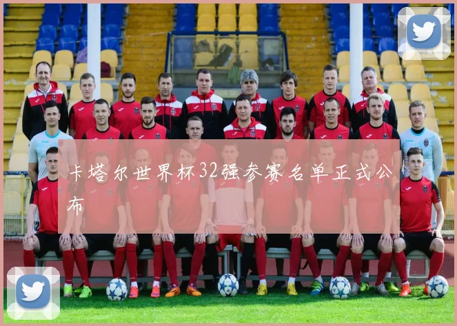 卡塔尔世界杯32强参赛名单正式公布