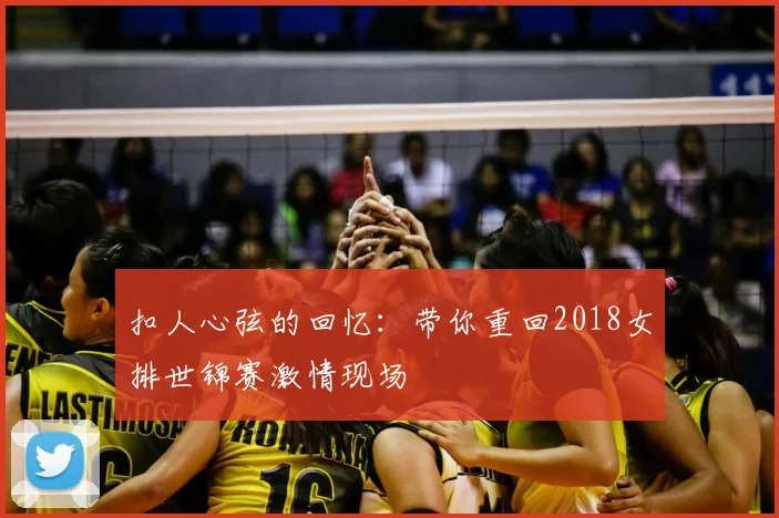 扣人心弦的回忆:带你重回2018女排世锦赛激情现场