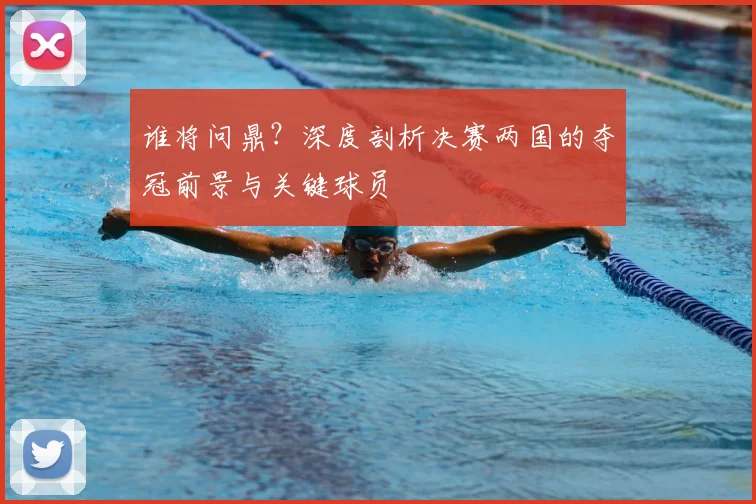 谁将问鼎？深度剖析决赛两国的夺冠前景与关键球员