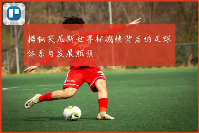 揭秘突尼斯世界杯战绩背后的足球体系与发展瓶颈