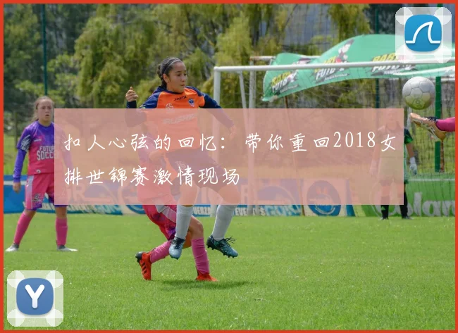 扣人心弦的回忆:带你重回2018女排世锦赛激情现场