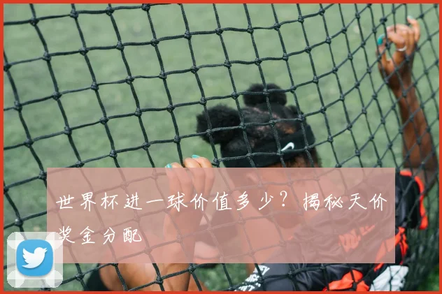 世界杯进一球价值多少？揭秘天价奖金分配