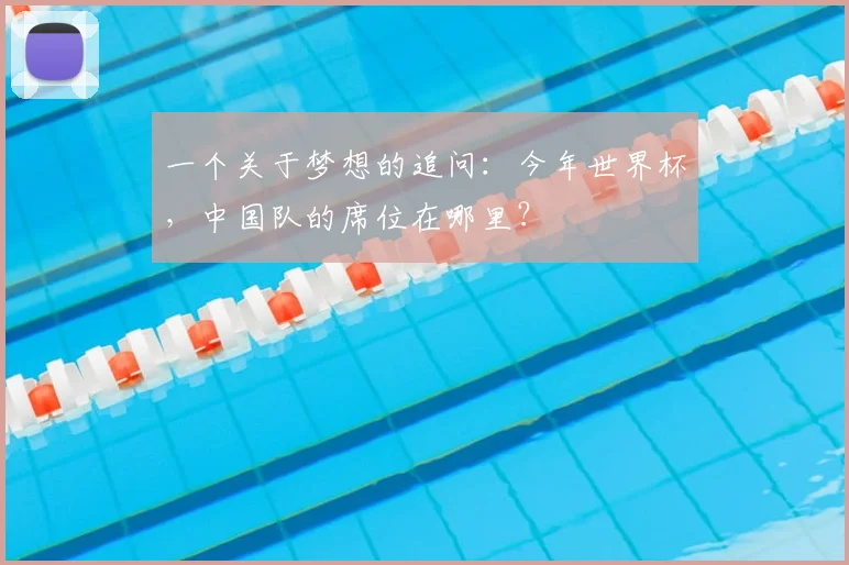一个关于梦想的追问:今年世界杯,中国队的席位在哪里?