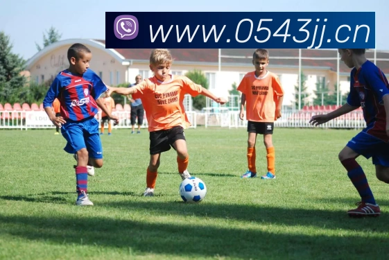 明博国际app登录服务体系